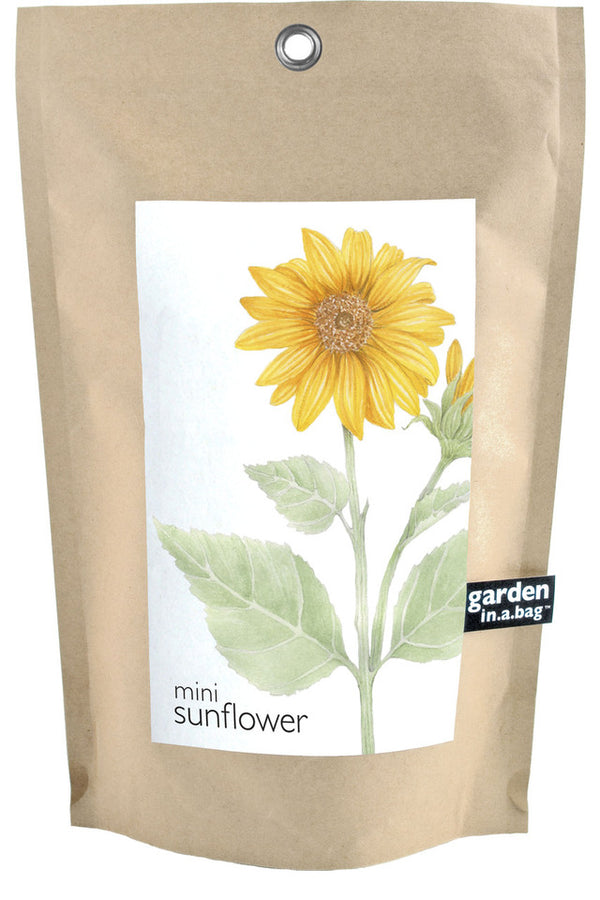 CGBSNAP Garden In A Gift Bag-Sunflower