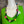 Load image into Gallery viewer, B64LG Rosebuds &amp; Knots Necklace
