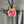 Load image into Gallery viewer, N136 Kitty Face Bolo Necklace-Multi
