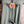 Load image into Gallery viewer, N136 Kitty Face Bolo Necklace-Multi
