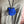 Load image into Gallery viewer, N136 Kitty Face Bolo Necklace-Blue
