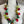 Load image into Gallery viewer, N27 Bottlebrush WREATH Necklace-Prancer
